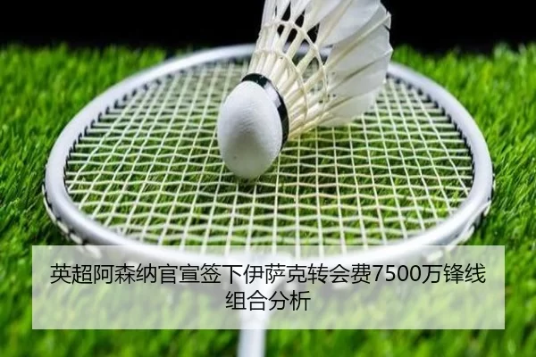 ying-chao-a-sen-na-guan-xuan-qian-xia-yi-sa-ke-zhuan-hui-fei-wan-feng-xian-zu-he-fen-xi-3-101.jpg